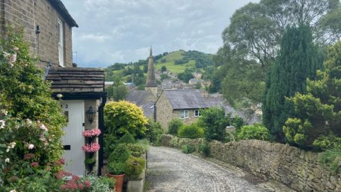 Beeston-Brow-Summer