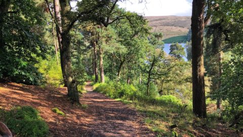 Goyt-Valley-Peak-District-Walk