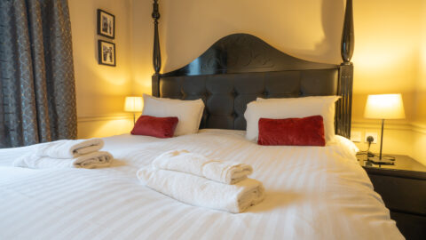 Superior Double (13)