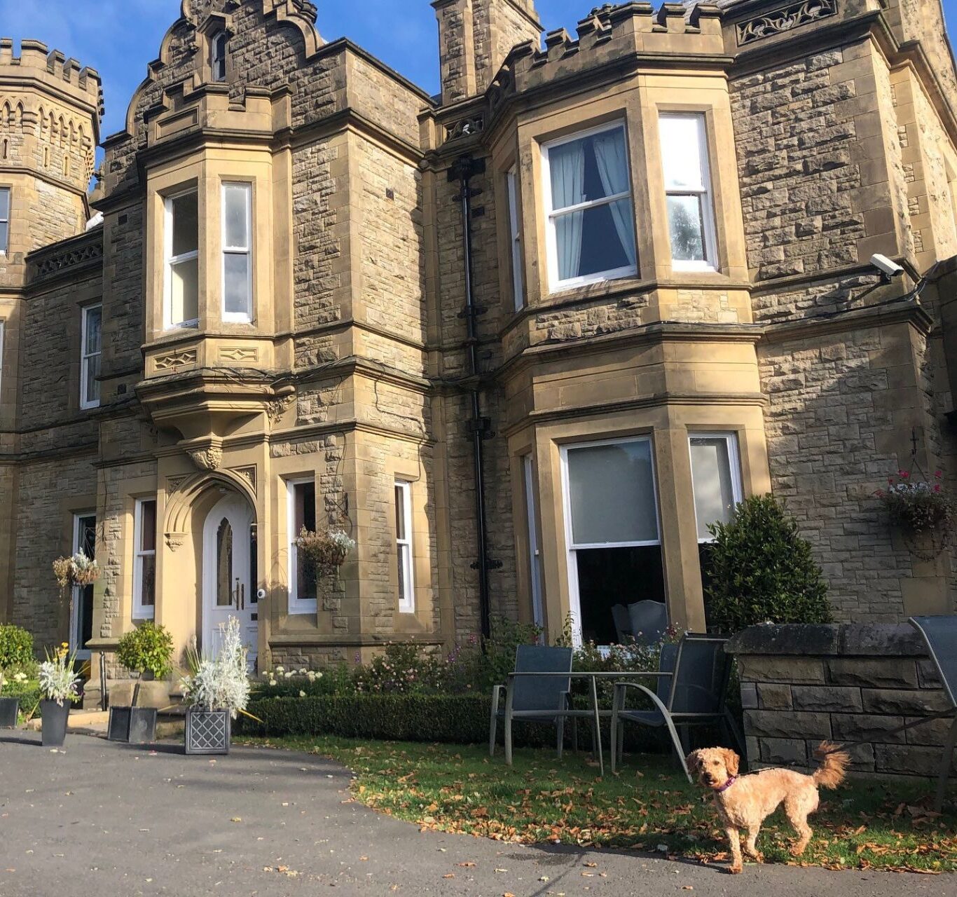 Hollin Dog Friendly – 1920×1280