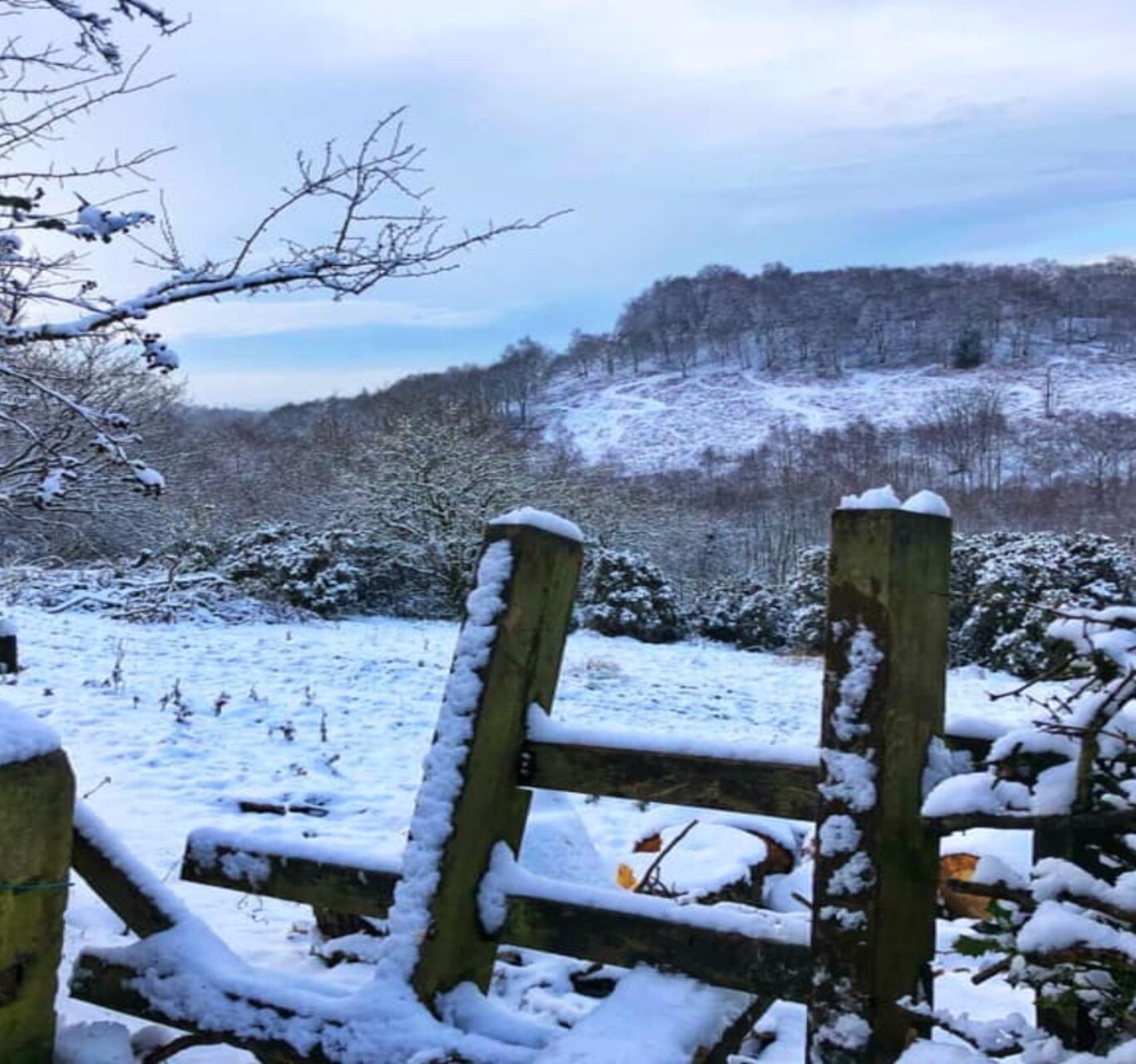 Winter Offers (1920×1280)